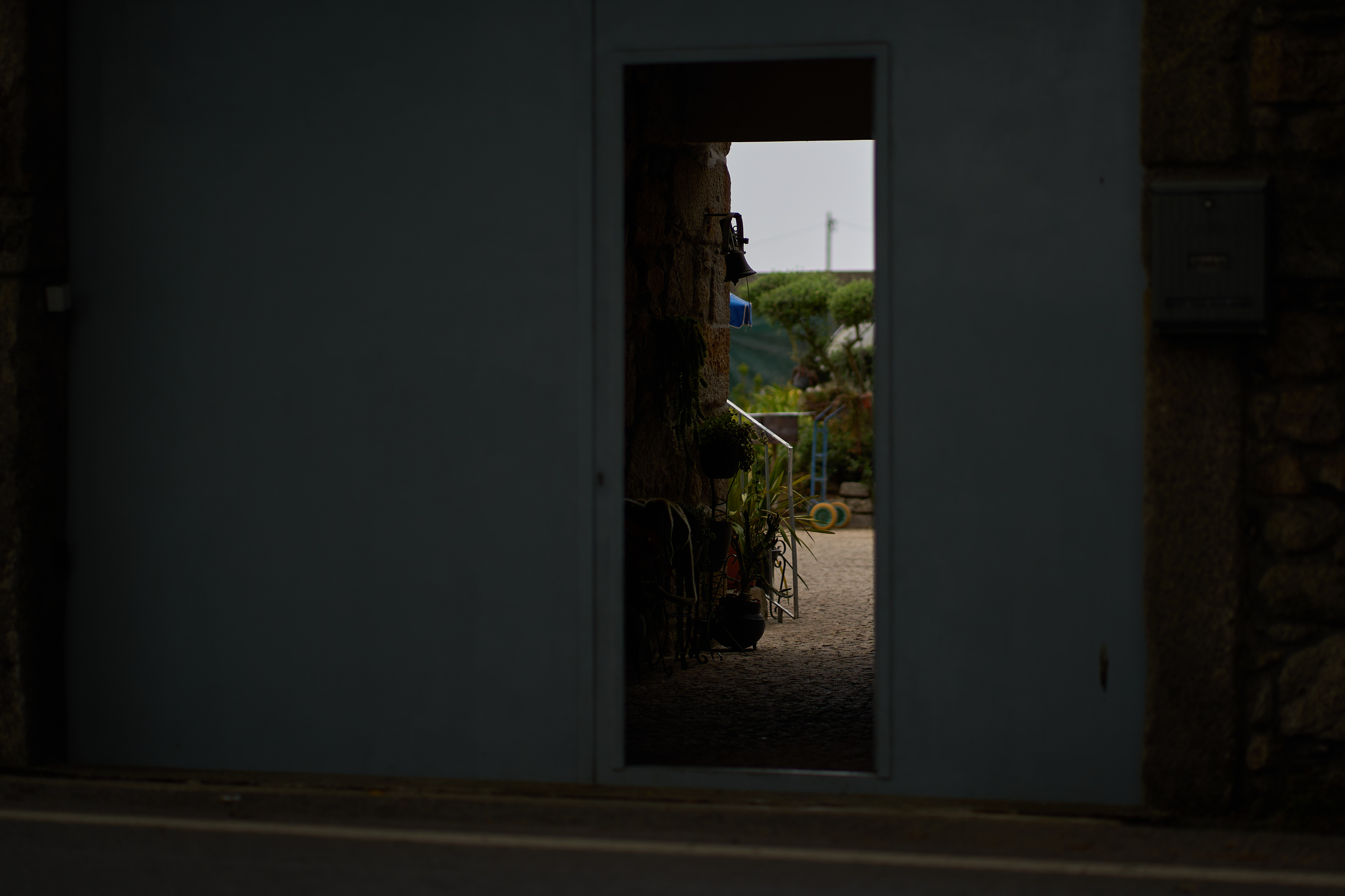 sneak peak through a farm door